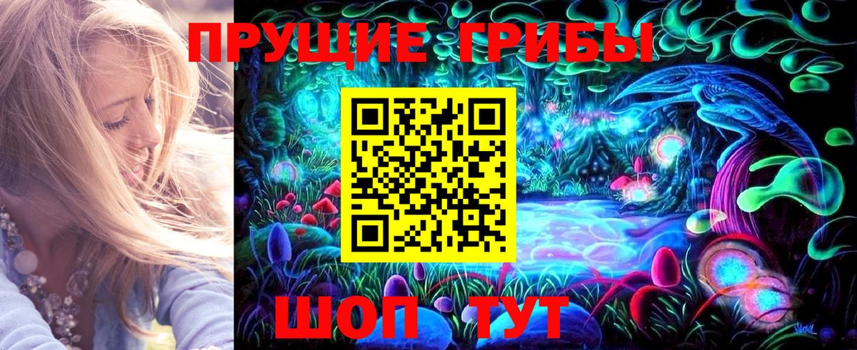 Псилоцибиновые грибы Psilocybe Баксан