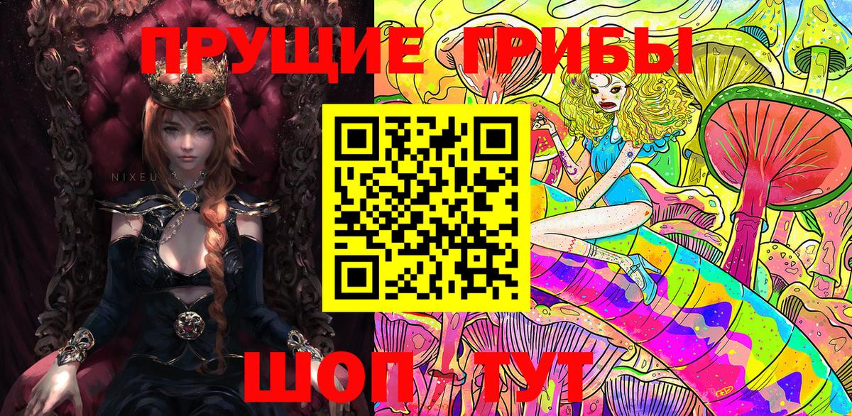 Галлюциногенные грибы Psilocybine cubensis  Вход с VPN  Псилоцибиновые грибы MAGIC MUSHROOMS  Баксан 